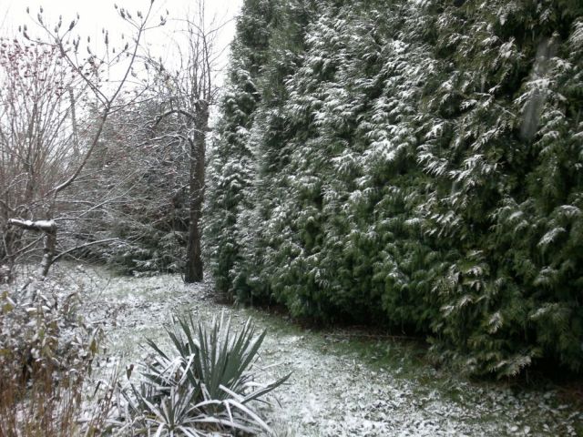 Pierwszy śnieg 2014