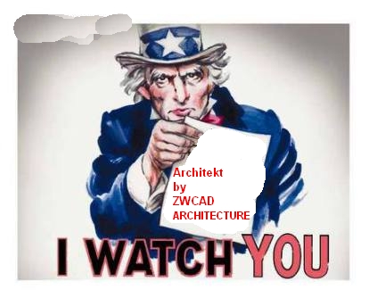 uncle Sam I watch You Nsl
